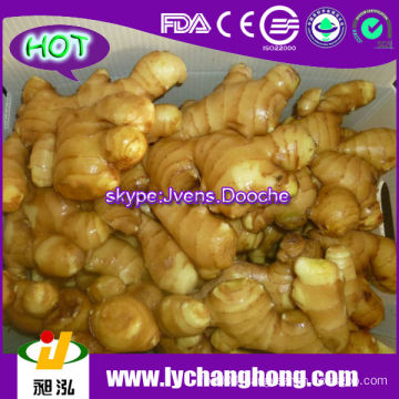 250g Air Dried GInger/Fresh Ginger For UK,CANADA,USA and EU Market